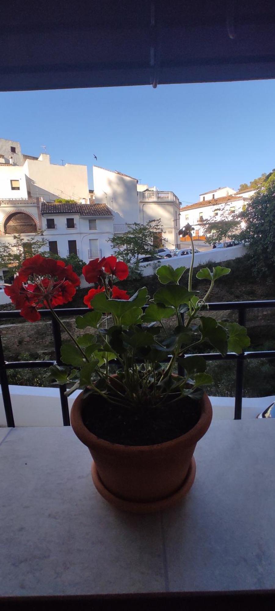 Casa Cueva Las Chicas Del Puente Setenil De Las Bodegas ภายนอก รูปภาพ