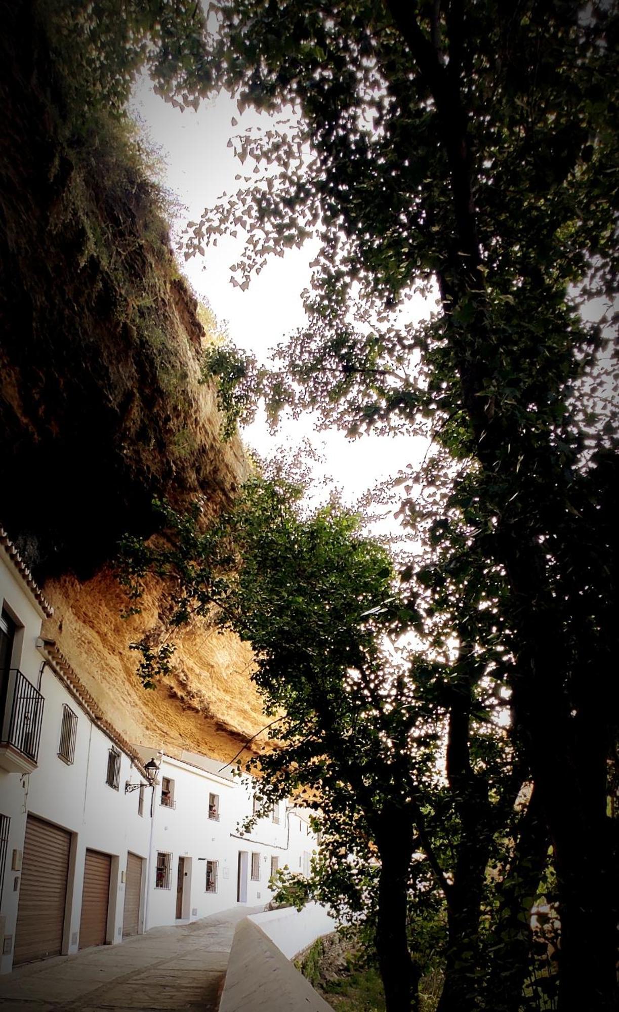 Casa Cueva Las Chicas Del Puente Setenil De Las Bodegas ภายนอก รูปภาพ