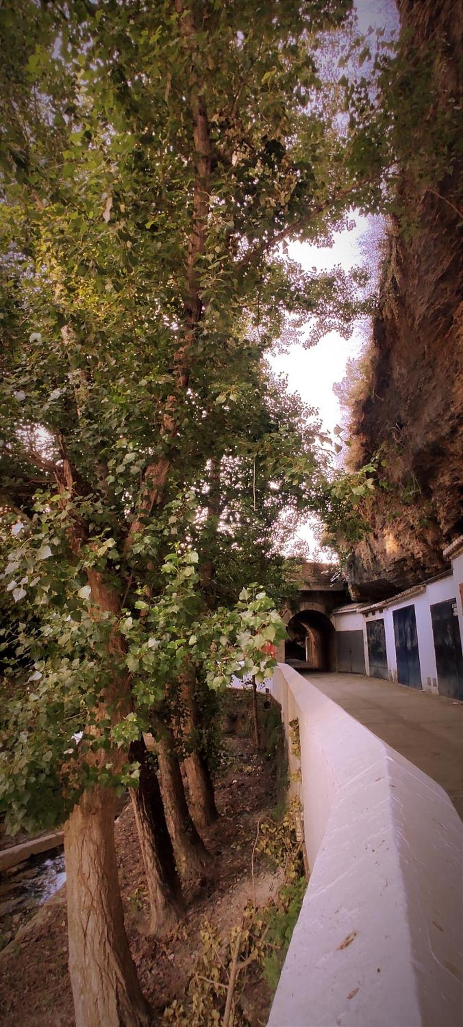 Casa Cueva Las Chicas Del Puente Setenil De Las Bodegas ภายนอก รูปภาพ